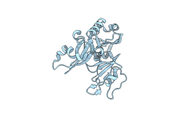 1YF5 image