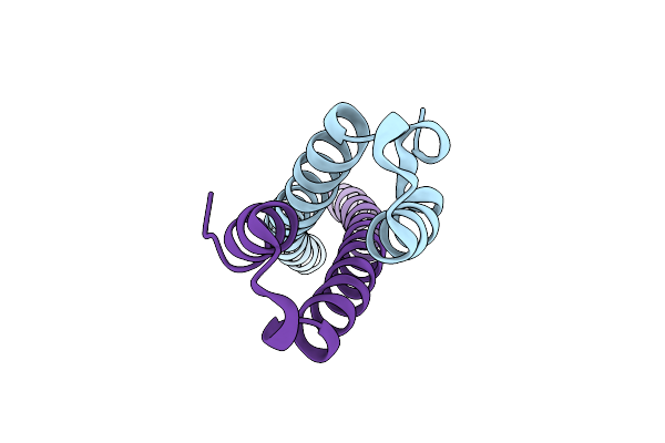 1YIG image