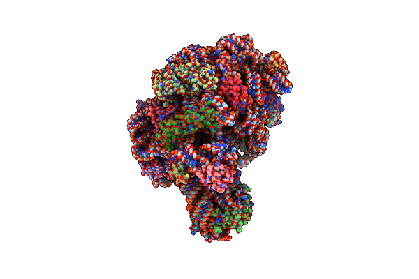 1YIT image