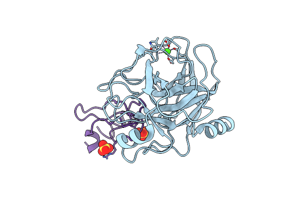 1YLC image