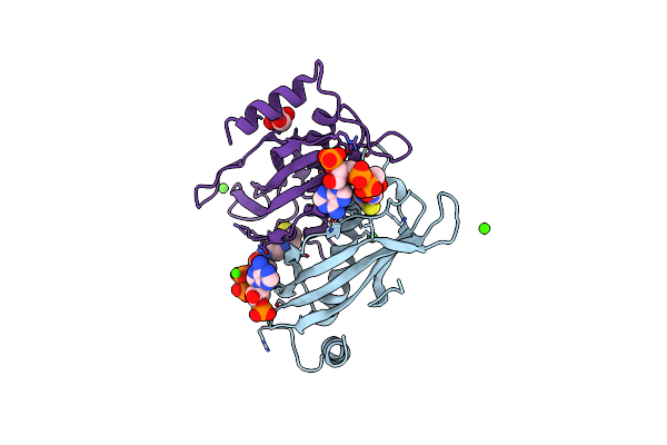 1YLI image