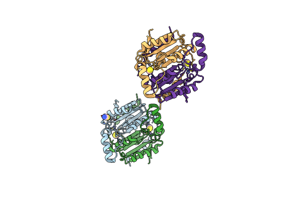 1YLK image