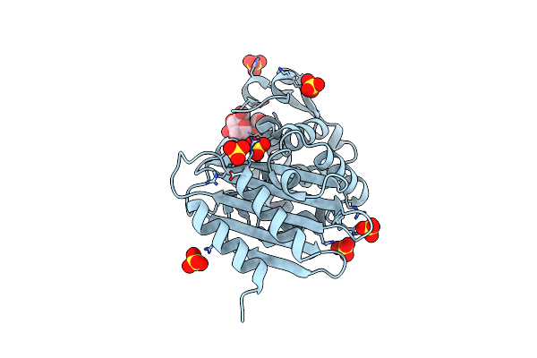 1YLP image