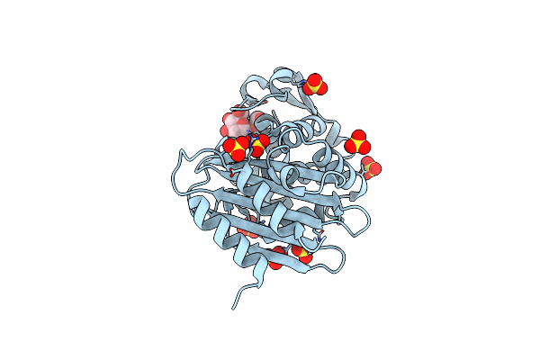 1YLT image