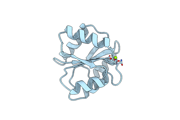 1YMV image