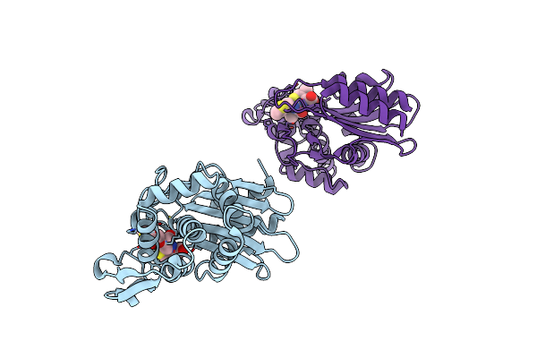 1YMX image