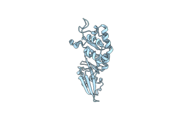 1YNM image