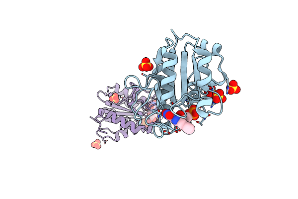 1YOB image