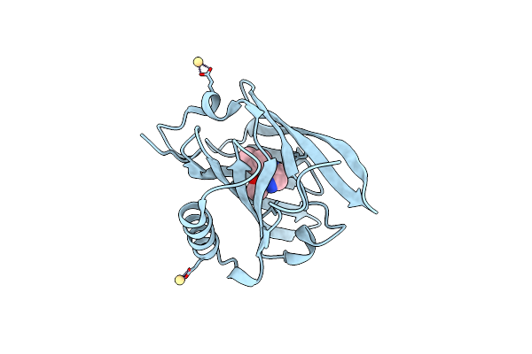 1YP6 image