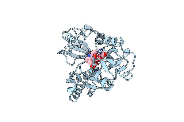 1YPN image