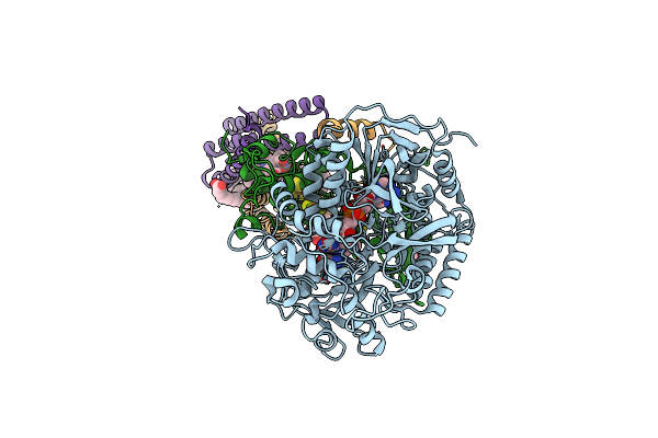 1YQ4 image