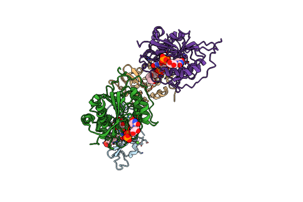 1YRO image