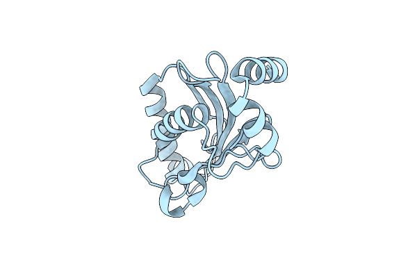 1YRV image