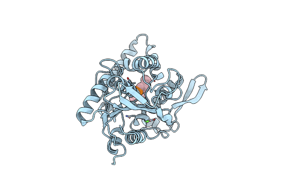1YS1 image