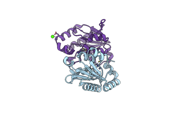1YSB image