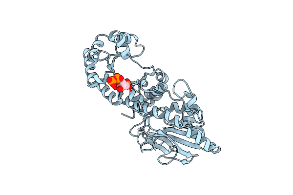 1YTE image