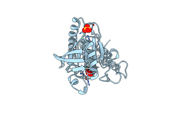 1YTW image