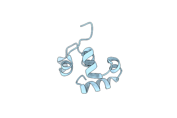 1YU5 image