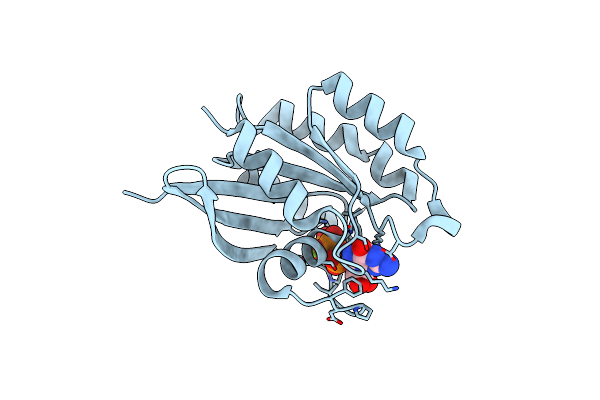 1YVD image