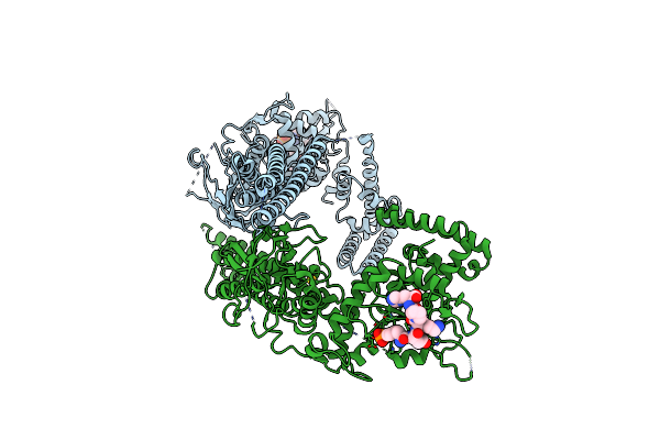 1YVL image