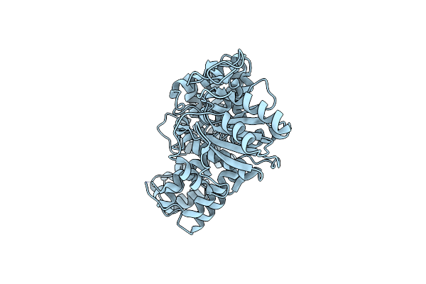 1YVR image