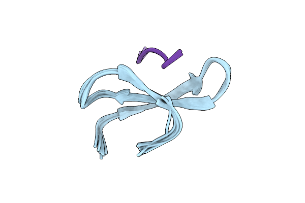 1YWI image