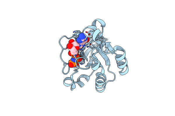 1Z06 image