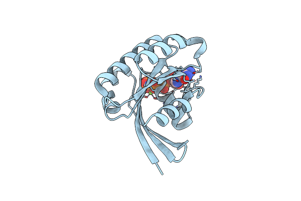 1Z07 image
