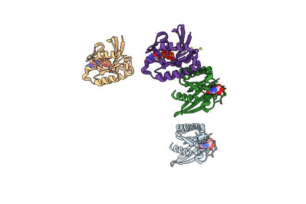 1Z08 image