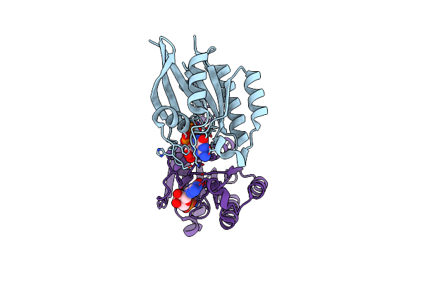 1Z0D image