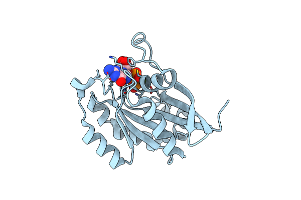 1Z0F image