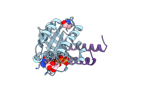 1Z0J image