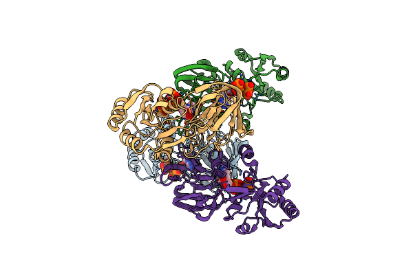 1Z0S image