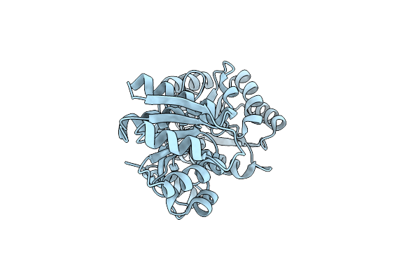 1Z15 image