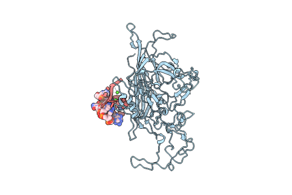 1Z1C image