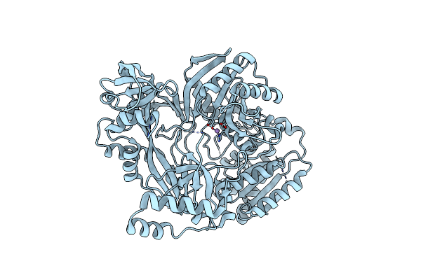 1Z25 image