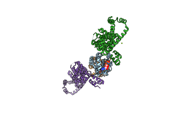 1Z2C image