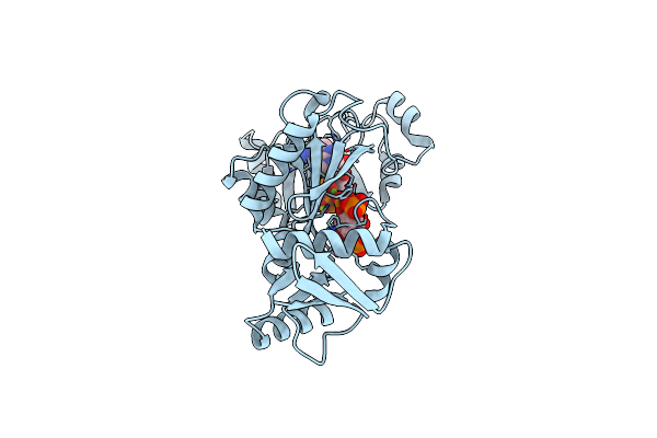 1Z2O image
