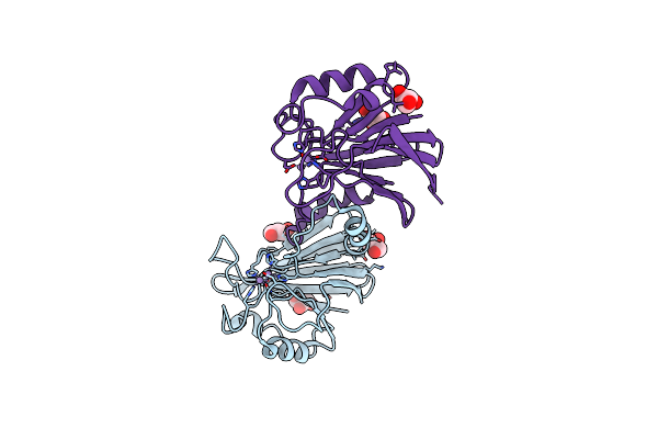 1Z2W image