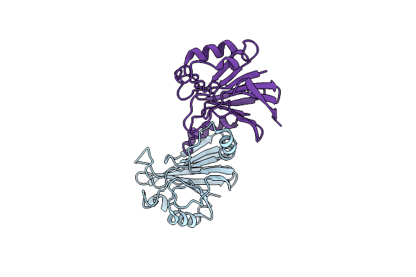1Z2X image