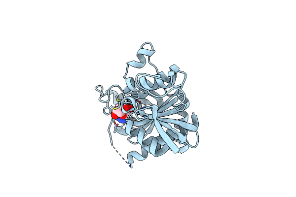 1Z36 image