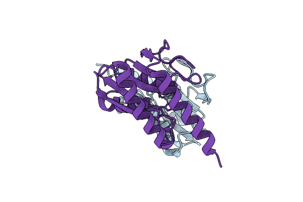 1Z3A image