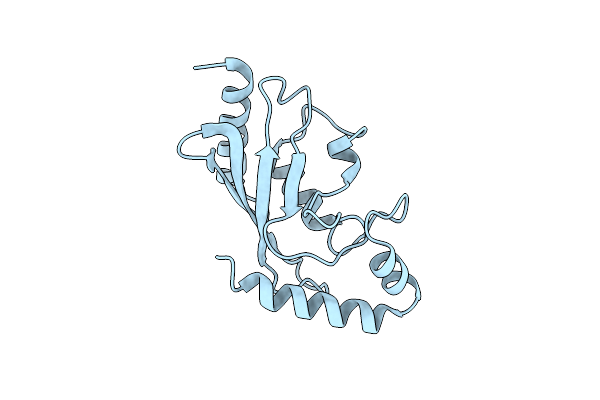 1Z3D image
