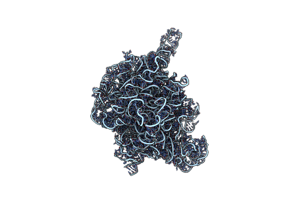 1Z58 image