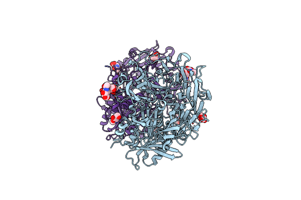 1Z68 image