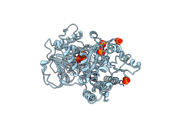 1Z6A image