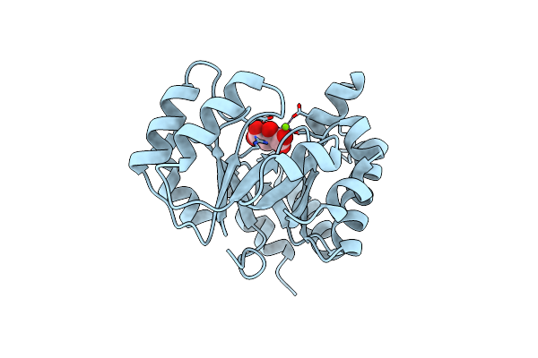1Z6K image