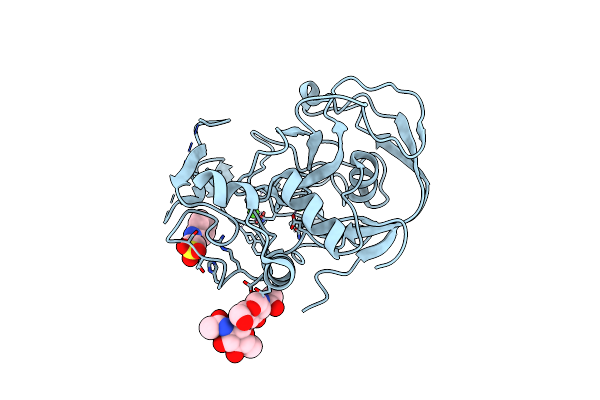 1Z70 image