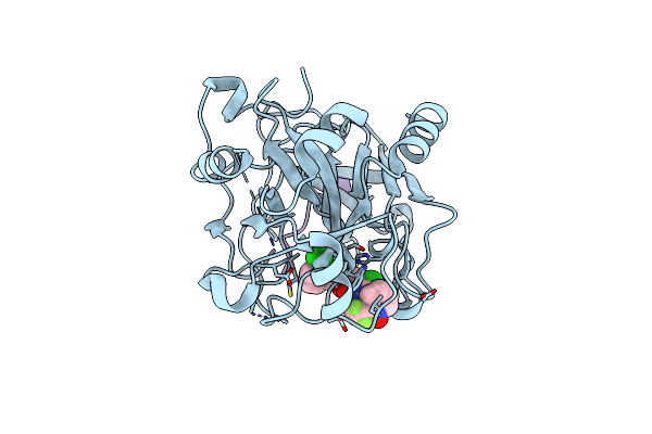 1Z71 image