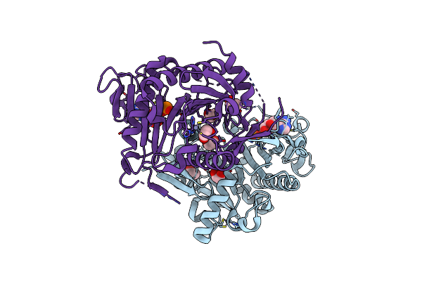 1Z84 image